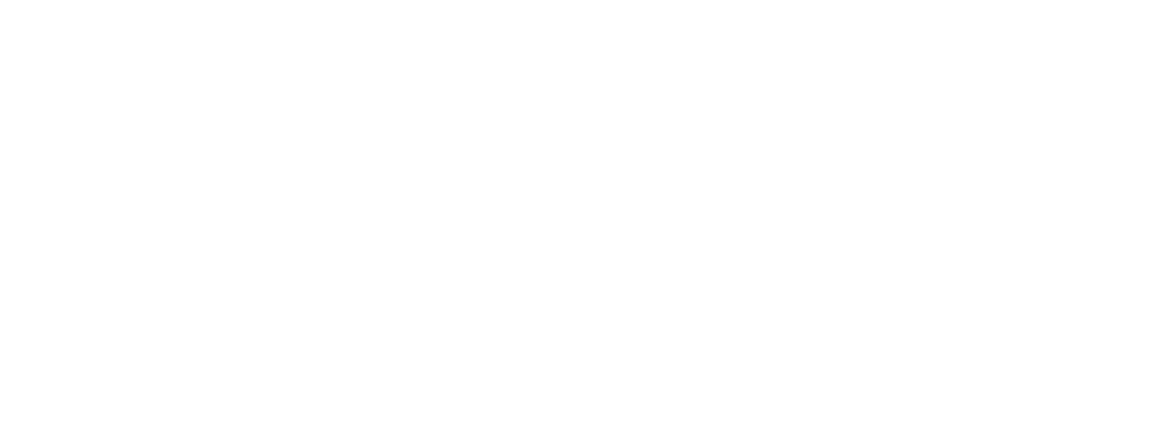 Deloitte Technology Fast 500